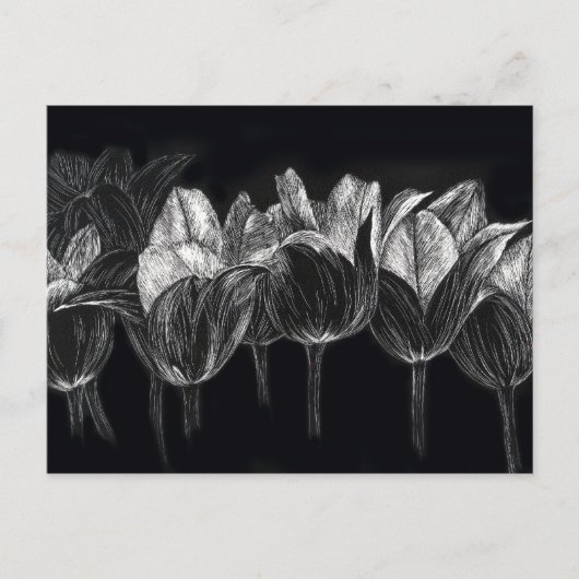 Schwarz-weiß Tulip Garden Blume Scratchboard Postkarte (Vorderseite)