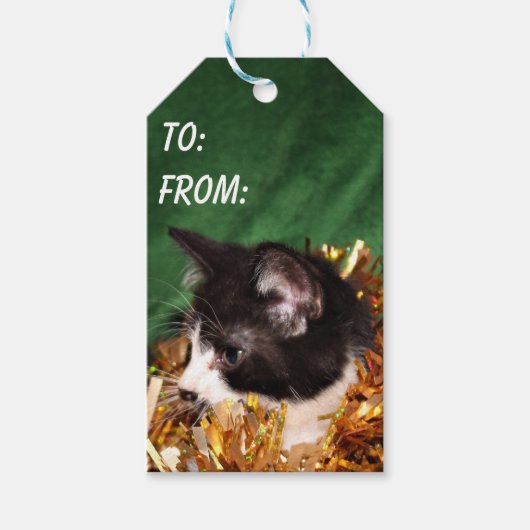 Schwarz-Weiß-Tuxedo-Kätzchen Weihnachten Geschenkanhänger (Vorderseite)