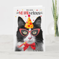 Schwarz-Weiß Tuxedo Katze MEOWvelous Geburtstag