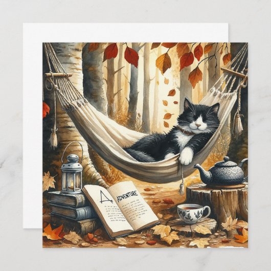 Schwarz-Weiß Tuxedo Katze Traumhaft für Abenteuer (Vorne/Hinten)