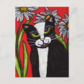 Schwarz-weiß Tuxedo Katze White Daisies Vibrant Re Postkarte (Vorderseite)