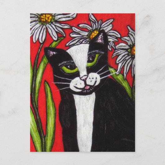 Schwarz-weiß Tuxedo Katze White Daisies Vibrant Re Postkarte (Vorderseite)