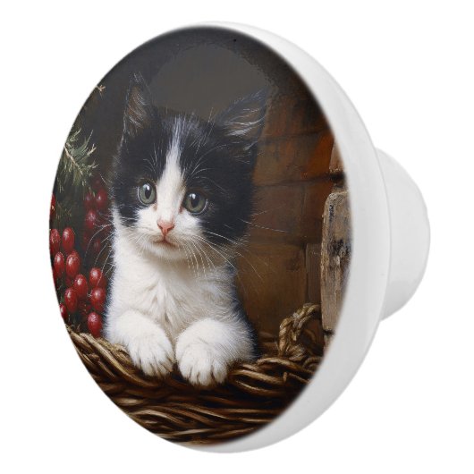 Schwarz-Weiß-Tuxedo-Katze Winterbilder Gemälde Keramikknauf (Rechts)