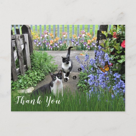 Schwarz-Weiß Tuxedo Katzen im Garten Vielen Dank Postkarte (Vorderseite)