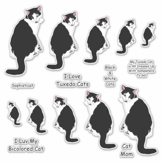 Schwarz-Weiß-Tuxedo-Katzenaufkleber-Set Aufkleber (Vorderseite)