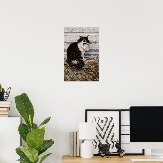 Schwarz-Weiß Tuxedo Tom Katze auf dem alten Zaun Poster (Heimbüro)