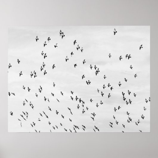 Schwarz-Weiß-Vogel-Motion-Poster Poster (Vorne)