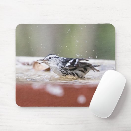 Schwarz-Weiß-Warbler in Birdbad Mousepad (Mit Mouse)