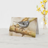 Schwarz-Weiß-Warbler Karte (Gelbe Blume)