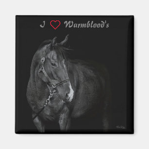 Schwarz-Weiß-Warmblut Magnet