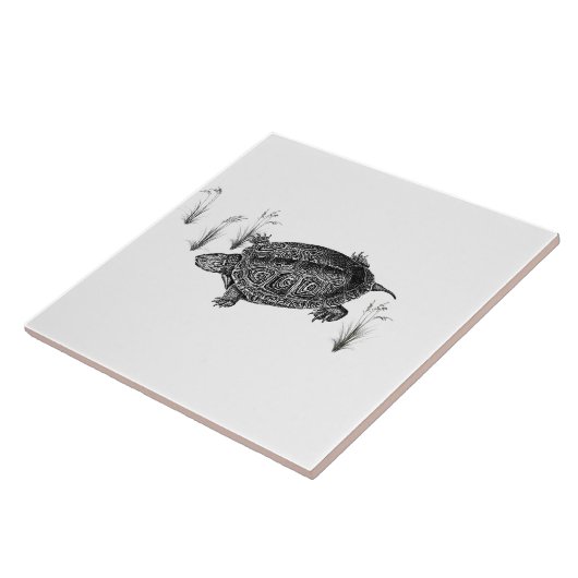 Schwarz-Weiß-Wasserschildkröte Fliese (Seite)