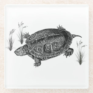 Schwarz-Weiß-Wasserschildkröte Glasuntersetzer