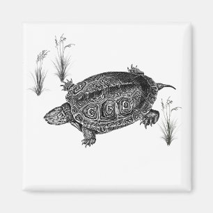 Schwarz-Weiß-Wasserschildkröte Magnet