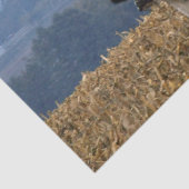 Schwarz-Weiß-Weiden in frisch gepflügtem Feld Seidenpapier (Ausschnitt)