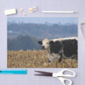 Schwarz-Weiß-Weiden in frisch gepflügtem Feld Seidenpapier (Handwerk)