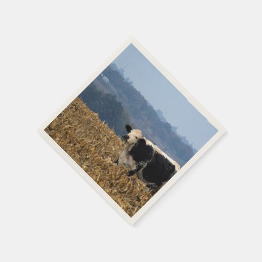 Schwarz-Weiß-Weiden in frisch gepflügtem Feld Serviette (Ecke)