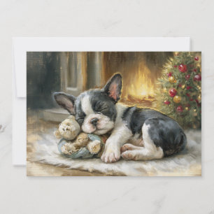 Schwarz Weiß Welpe Hund Schlafende Weihnachten