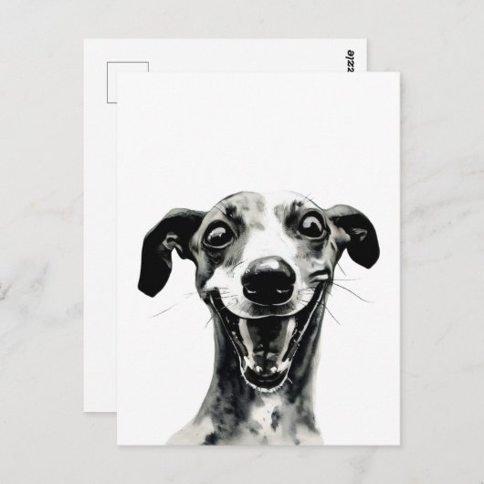 Schwarz-Weiß-Whippet | Niedlich Greyhound Postkarte (Vorne/Hinten)
