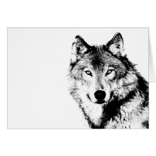 Schwarz-Weiß-Wolf