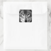 Schwarz & Weiß Wolf Augen Quadratischer Aufkleber (Tasche)