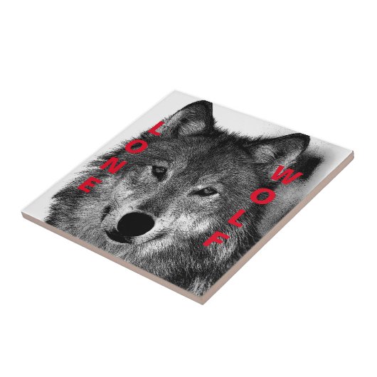 Schwarz-Weiß-Wolf-Augustift Fliese (Seite)