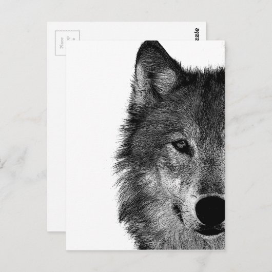Schwarz-Weiß-Wolf-Augustift Postkarte (Vorne/Hinten)