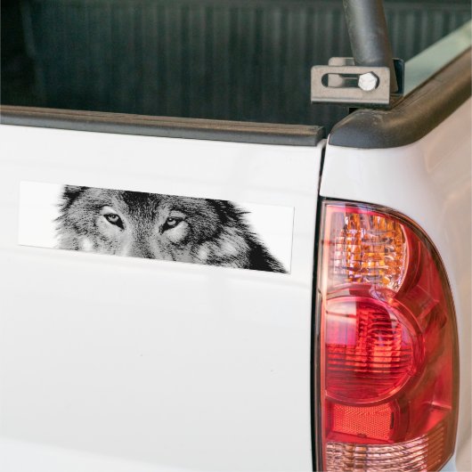 Schwarz-Weiß-Wolf Autoaufkleber (Auf Lkw)