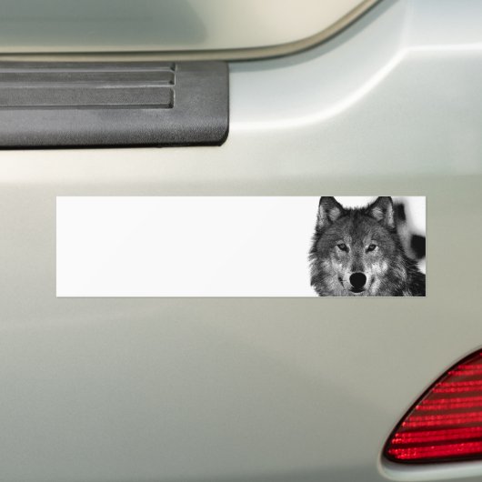 Schwarz-Weiß-Wolf Autoaufkleber (Auf Auto)