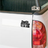 Schwarz-Weiß-Wolf Autoaufkleber (Auf Lkw)