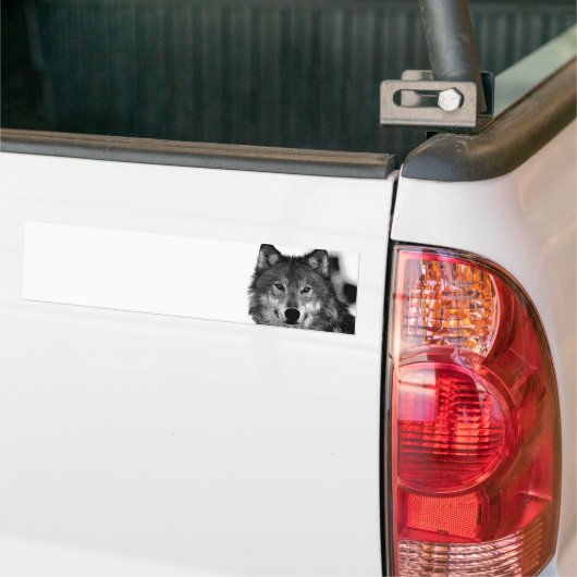 Schwarz-Weiß-Wolf Autoaufkleber (Auf Lkw)