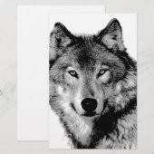 Schwarz-Weiß-Wolf Briefpapier (Vorne/Hinten)