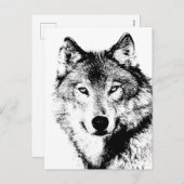 Schwarz-Weiß-Wolf Feiertagspostkarte (Vorne/Hinten)