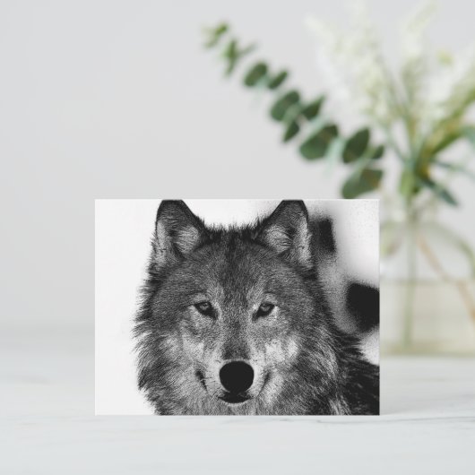 Schwarz-Weiß-Wolf Feiertagspostkarte (Stehend Vorderseite)