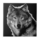 Schwarz-Weiß-Wolf Fliese (Vorderseite)
