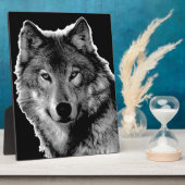 Schwarz-Weiß-Wolf Fotoplatte (Seite)