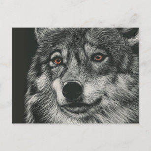 Schwarz-Weiß-Wolf-Illustration Postkarte