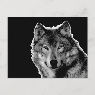 Schwarz-Weiß-Wolf-Kunstwerk Postkarte
