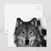 Schwarz-Weiß-Wolf-Kunstwerk Postkarte (Vorne/Hinten)