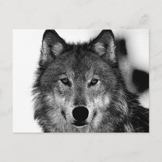 Schwarz-Weiß-Wolf-Kunstwerk Postkarte (Vorderseite)