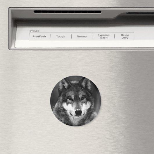 Schwarz-Weiß-Wolf Magnet (In Situ (Geschirrspüler))