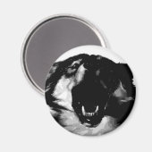 Schwarz-Weiß-Wolf Magnet (Vorderseite/Rückseite)