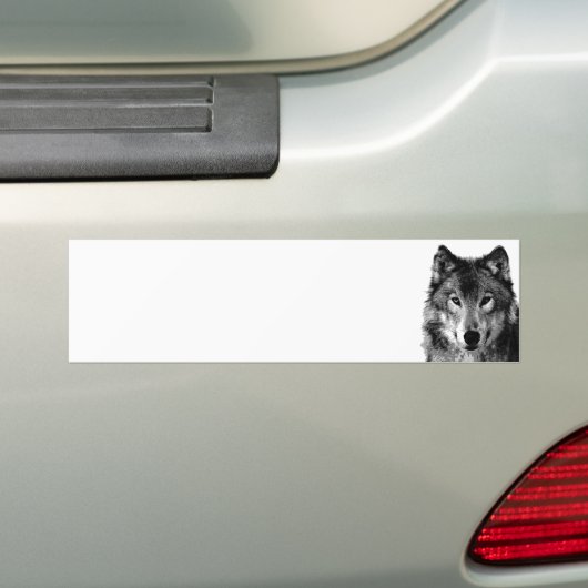 Schwarz-Weiß-Wolf-Portrait Autoaufkleber (Auf Auto)