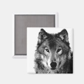 Schwarz-Weiß-Wolf-Portrait Magnet (Vorderseite/Rückseite)