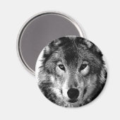 Schwarz-Weiß-Wolf-Portrait Magnet (Vorderseite/Rückseite)