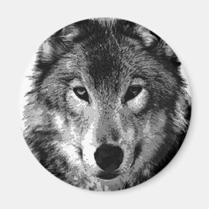 Schwarz-Weiß-Wolf-Portrait Magnet