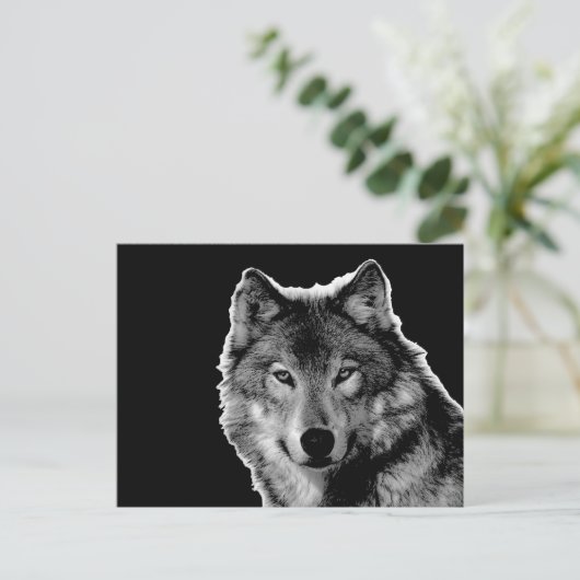 Schwarz-Weiß-Wolf Postkarte (Stehend Vorderseite)