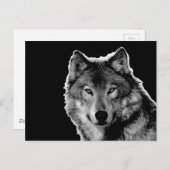 Schwarz-Weiß-Wolf Postkarte (Vorne/Hinten)