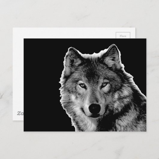 Schwarz-Weiß-Wolf Postkarte (Vorne/Hinten)