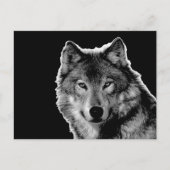 Schwarz-Weiß-Wolf Postkarte (Vorderseite)
