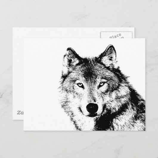 Schwarz-Weiß-Wolf Postkarte (Vorne/Hinten)